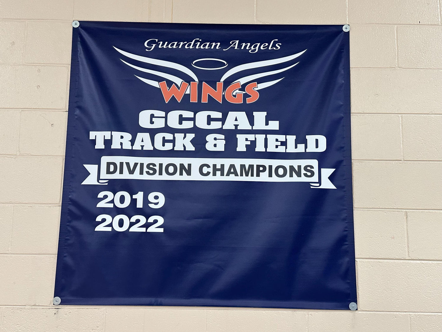 Custom Full Color Printed Vinyl Banner, Free Design, Free Overnight Shipping, Quick Turnaround